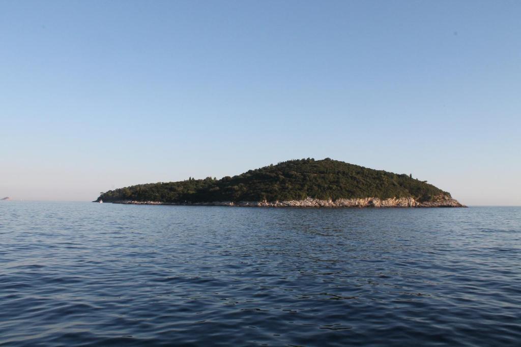 Tina Apartments Dubrovnik Cameră foto